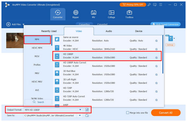 Anymp4 Video Converter Preset