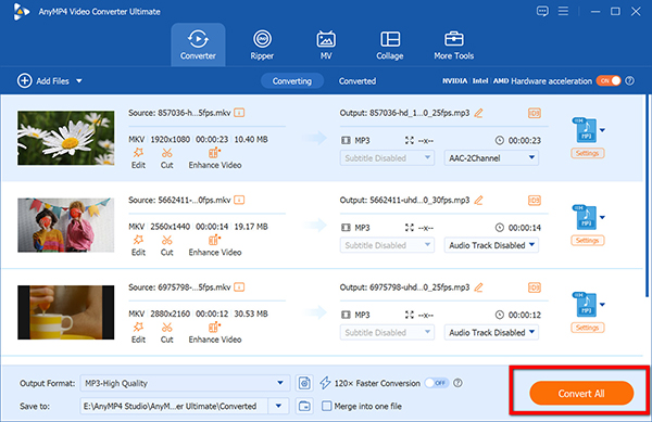 Convert MKV to MP3 in AnyMP4