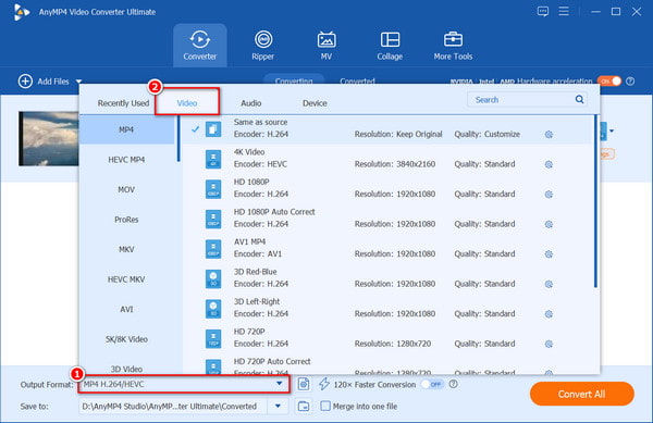 Select MP4 Output Format