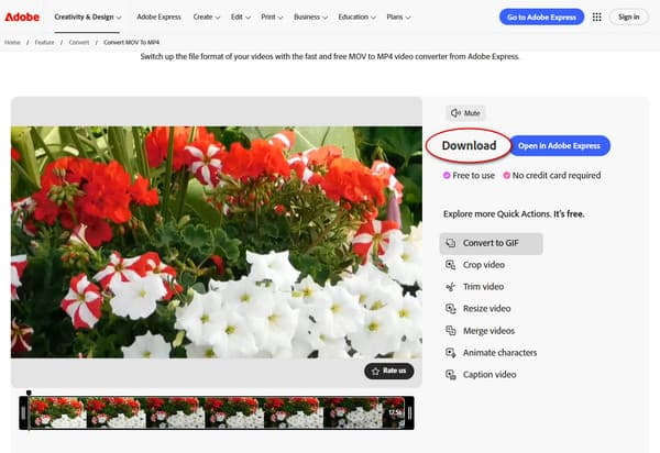 Convert And Download In Adobe Express