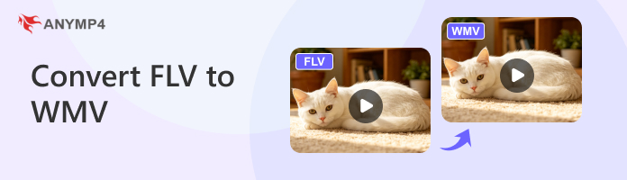 Convert Flv To Wmv