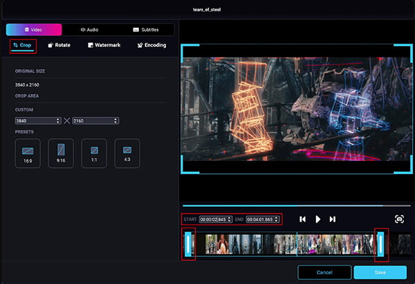 DivX Converter Software