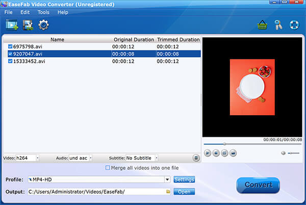 EaseFab DivX Converter