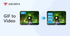 Gif To Video