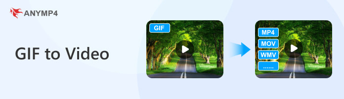 GIF To Video