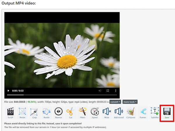 Ezgif Save Converted MP4 Video