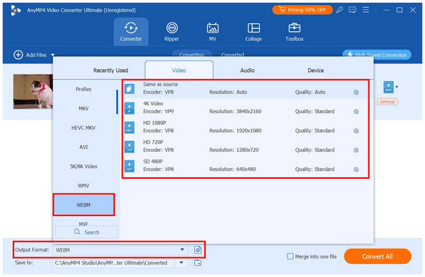 AnyMP4 Video Converter Ultimate Output WebM