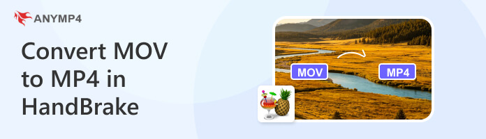 Handbrake Convert Mov To Mp4