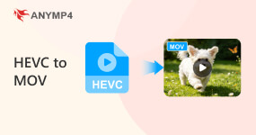 Hevc To Mov