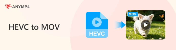 HEVC To Mov