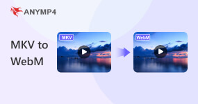 Mkv To WebM