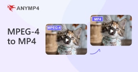 Mpeg4 To Mp4