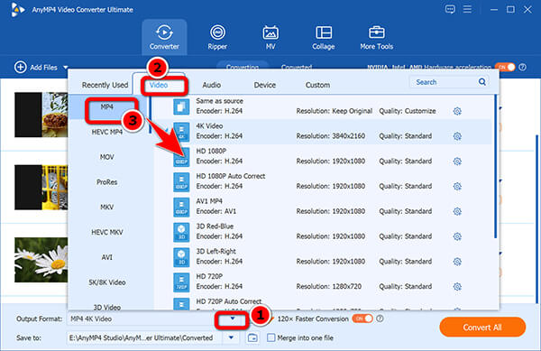 Output Mp4 For Mpg In Anymp4