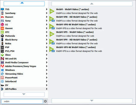 Scegli il formato di output WebM