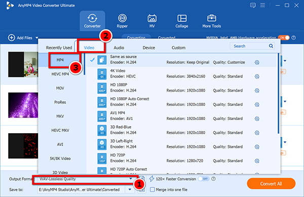 Select Mp4 Output In Anymp4