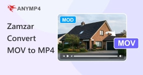 Zamzar Convert MOV to MP4
