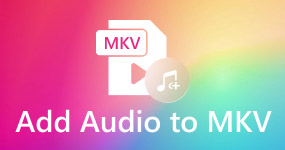 Aggiungi audio a MKV