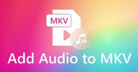 Audio toevoegen aan MKV