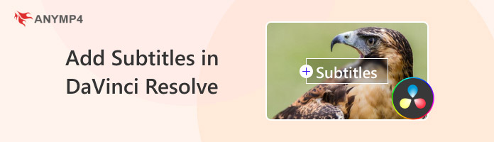 Add Subtitles in DaVinci Resolve
