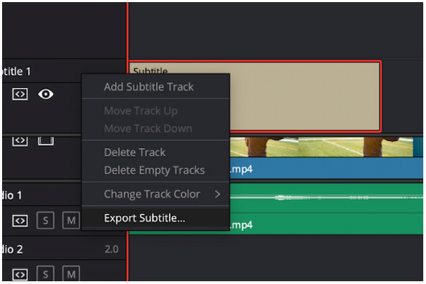 Export Subtitle Optionally