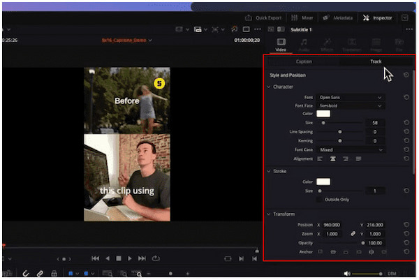 Stylize The Subtitle