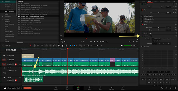 DaVinci Resolve AI Video Editor