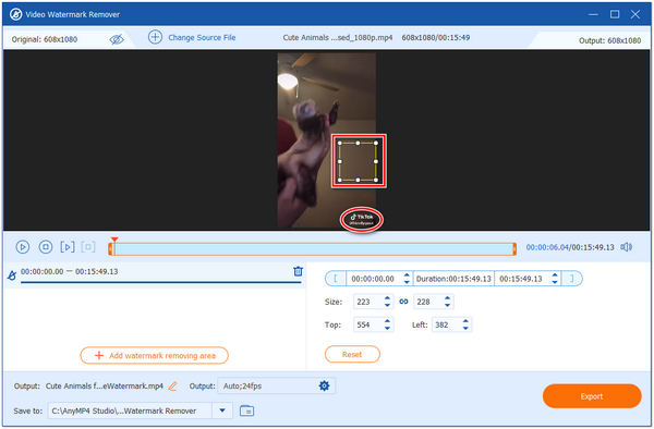 Odstraňte vodoznak AnyMP4 Video Converter Ultimate Region