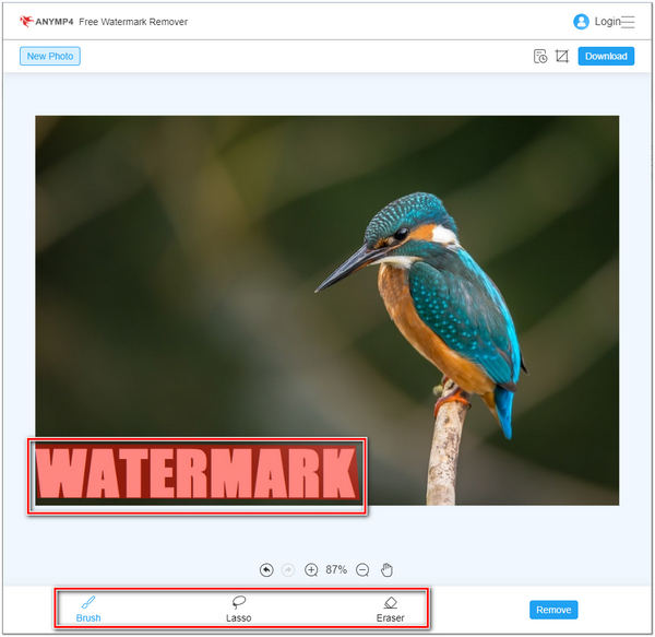 Remove Watermark AnyMP4 Watermark Remover Online Highlight