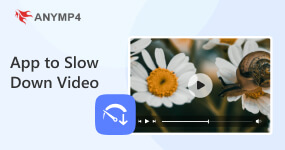 應用程序減慢視頻