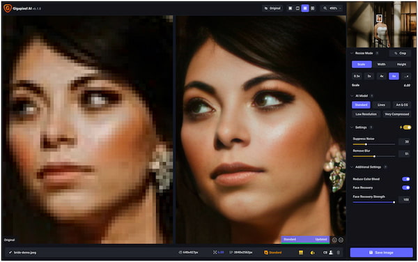 Topaz Labs Gigapixel