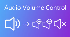 Controllo volume audio