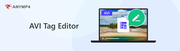 AVI-tag-editor