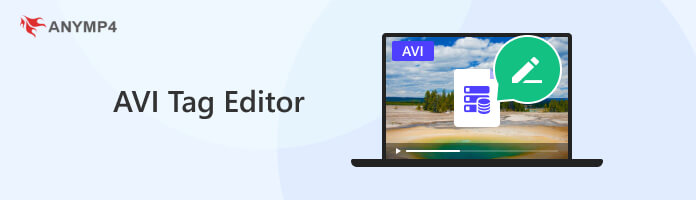 AVI Tag Editor