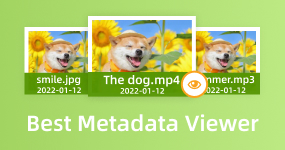 Bästa Metadata Viewer