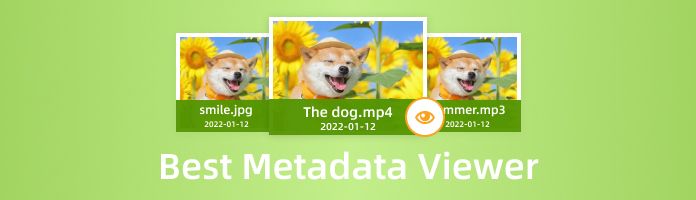 Best Metadata Viewer