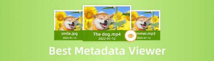 Beste Metadata-viewer