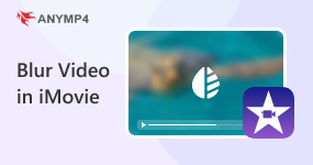 Blur Video in iMovie