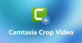 Camtasia Crop Video
