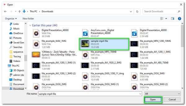 AnyMP4 Convertitore video gratuito online Aggiungi file Apri