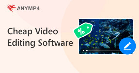 Cheap Video Editing Software