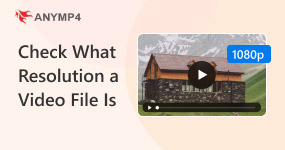 Check Video File Resolution