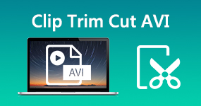 Clip Trim Cut AVI fájlok