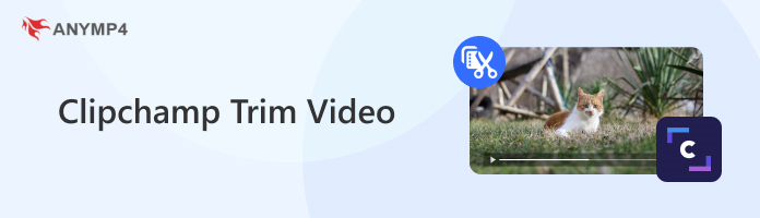 Clipchamp Trim Video