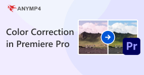 Color Correction in Premiere Pro