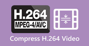 Komprimera H.264-video
