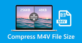 壓縮 M4V 文件大小
