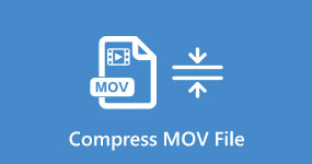 Komprimera MOV-fil
