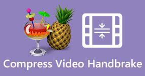 Compress Video Handbrake