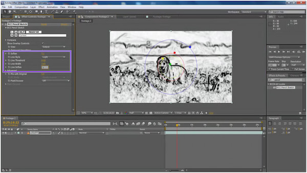 Adobe After Effects-controle