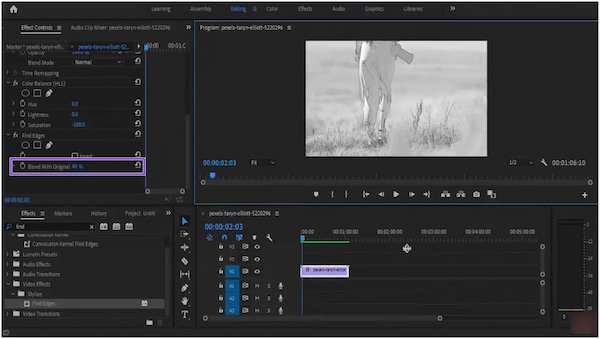 Adobe Premiere Pro Blend